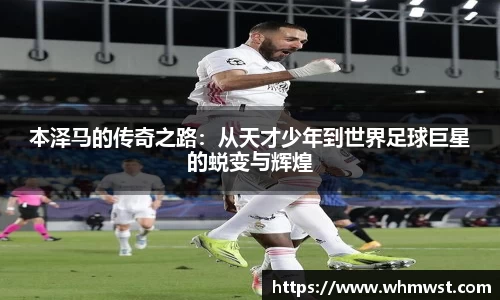 mgty芒果体育